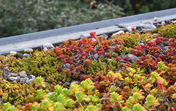 the cost of West Denant green roof installation