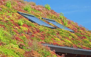 West Denant living roof systems