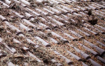 West Denant roof cleaning companies