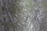 West Denant fibreglass roof work